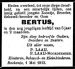 Laaij Bertus-NBC-04-05-1913  (zoon 273).jpg